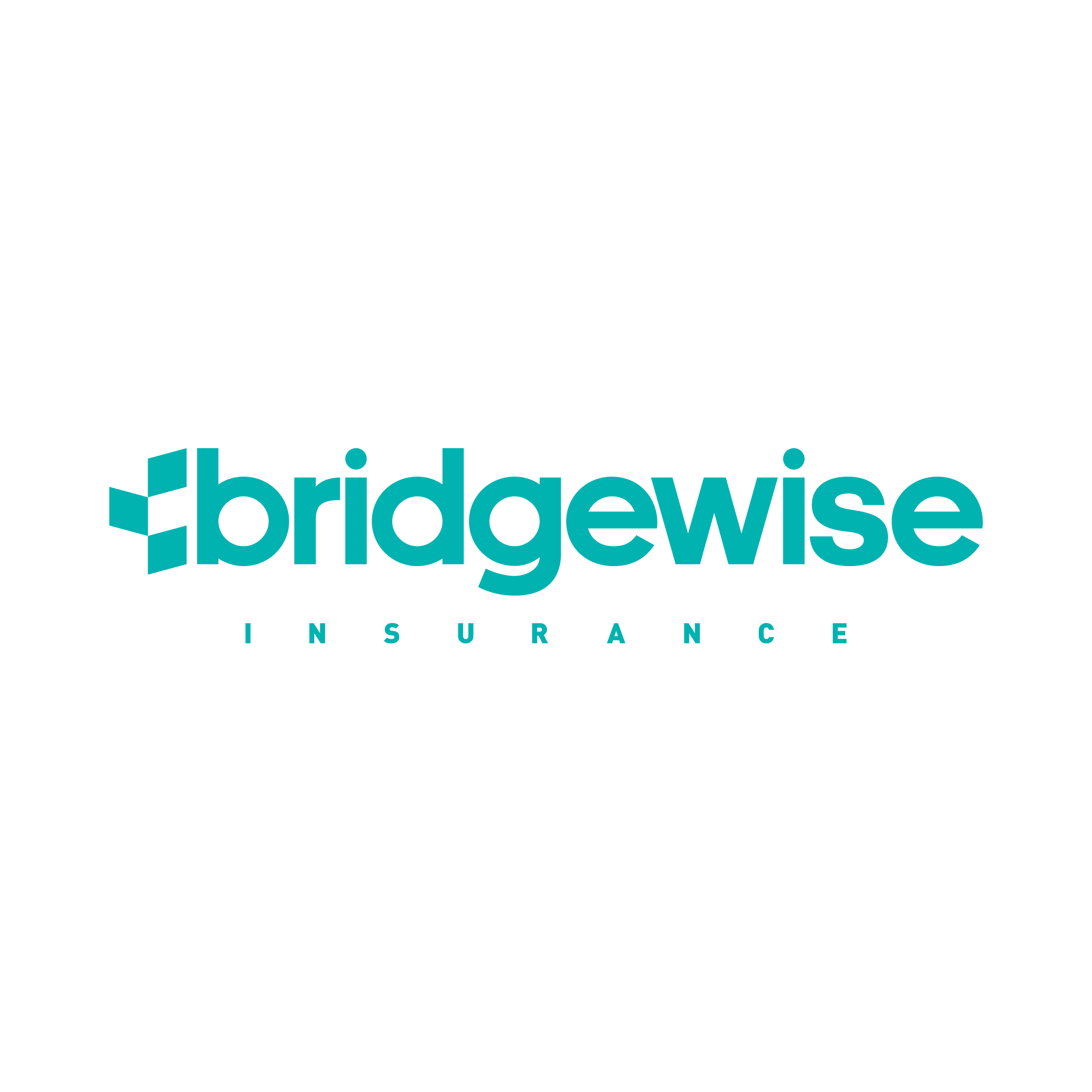 Bridgewise Insurance logo