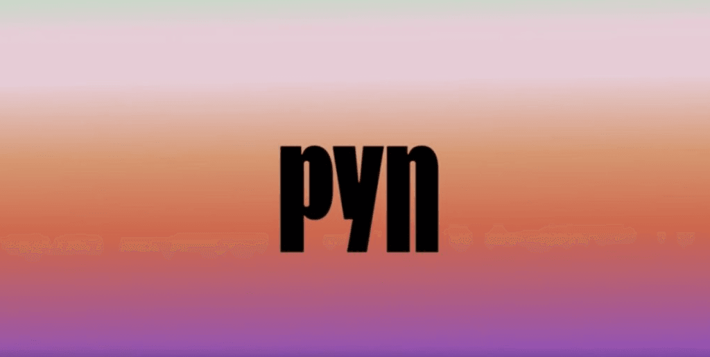 Pyn logo on a gradient background
