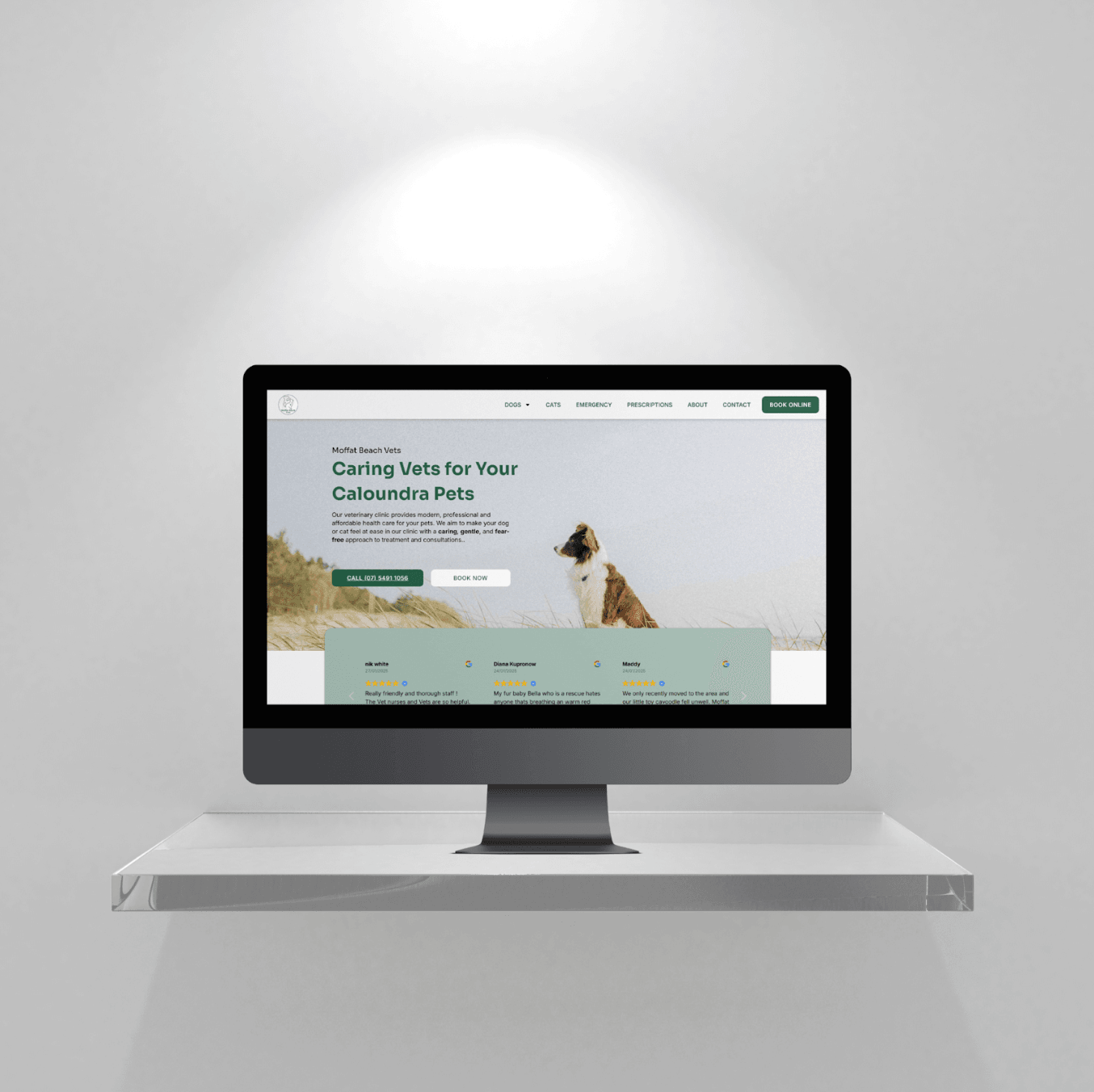 Moffat Beach Vets website on a monitor