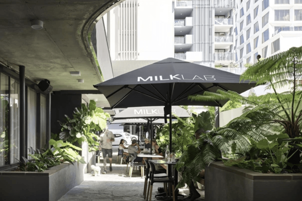 Milklab cafe courtyard