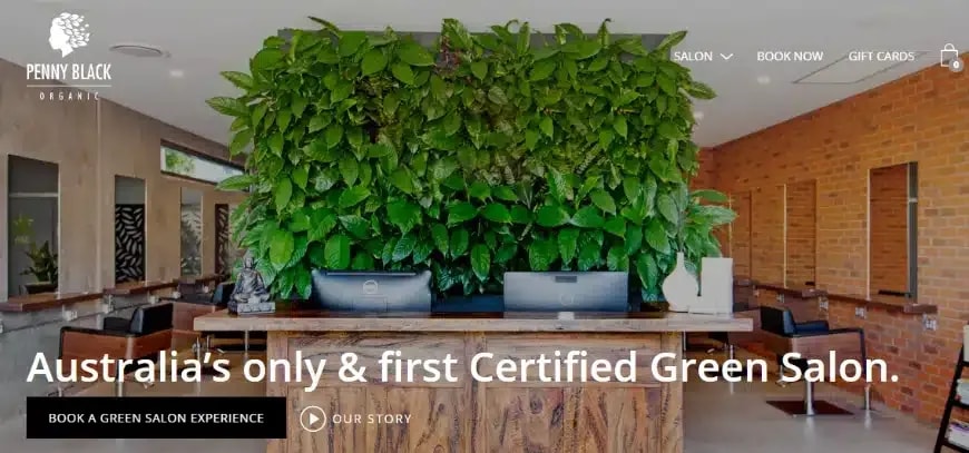 Penny Black certified green salon website